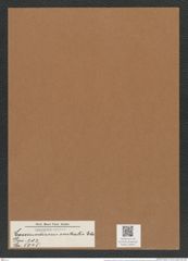 Coscinodiscus centralis Ehr. (de-Toni-Nr.: Genus 202, Species 5045) Zeichnungen Sammlung Grunow Mappe 04847 (Herbarium_W_Grunow_drawings_Folder_04847)